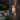 Travara Elegant Outdoor Wall Lamp | Yellow Travertine LED Up and Down Light for Patios & Garden Outdoor Lighting