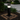 Modern Solar Pathway Lights | Weatherproof LED Eco-Friendly Design for Lawn or Garden Outdoor Lighting